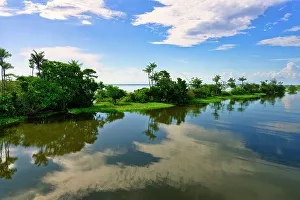 Flood Prints: Flooded forest, Para State, Brazil, South America