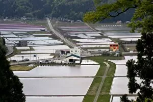 Flooded rice paddies in late April seen from atop Mount Kameyama in Fukui Prefecture