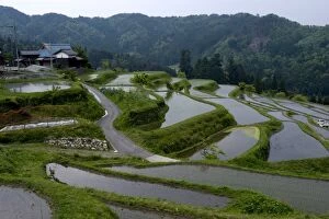Flooded rice paddy terraces in early spring in mountain village of Hata