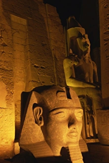 Images Dated 18th November 2008: Floodlit statues of Ramses II, Temple of Luxor, UNESCO World Heritage Site