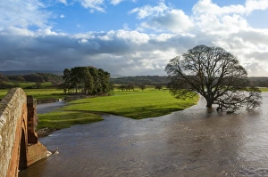 Eden Valley Prints: Floodwaters, Lazonby Bridge, River Eden