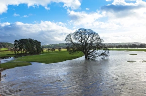 Eden Valley Prints: Floodwaters, River Eden, Eden Valley, Cumbria, England, United Kingdom, Europe