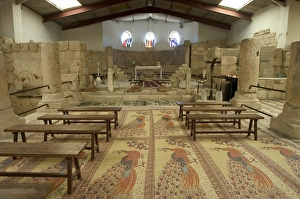 Mount Nebo Prints: Floor mosaics