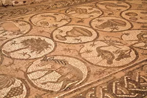 Archaeological Gallery: Floor mosaics, Petra Church (Byzantine Church), built between the 5th and 7th centuies AD