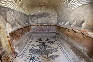 Campania Prints: Floor of tepidarium in Roman central baths mosaic depicting Triton surrounded by dolphins