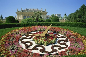 Flower Beds Prints: Floral clock, Vienna, Austria, Europe