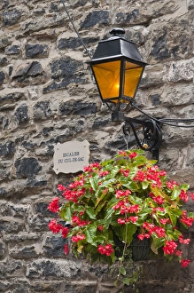 Quebec Prints: Floral decorations in Old CIty. Quebec City, Quebec, Canada, North America