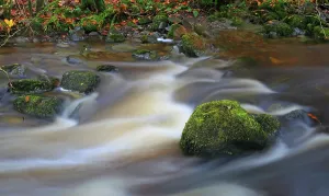 Trails Prints: Flow of Lakeland stream in Lake District during autumn season in Cumbria