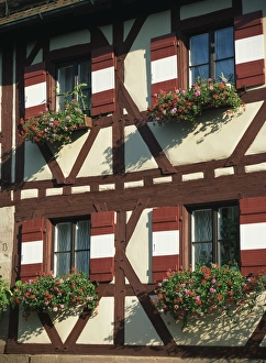 Window Boxes Prints: Flower baskets on half-timbered wall