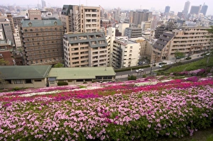 Flower bed