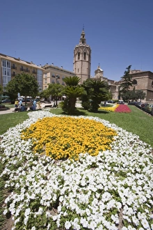Images Dated 25th June 2007: flower bed