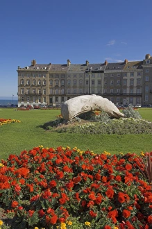 Royal Crescent Prints: Flower beds at the Royal Crescent, Seafront, Whitby, North Yorkshire, Yorkshire