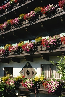Balconies Prints: Flower boxes, Hotel Untersberg, near Salzburg, Austria, Europe