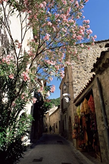 Herault Prints: Flower filled village street, St. Guilhem-le-Desert, Herault, Languedoc-Roussillon
