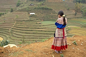 Terraced Field Prints: Flower Hmong woman, Can Cau market. Bac Ha area, Vietnam, Indochina, Southeast Asia, Asia