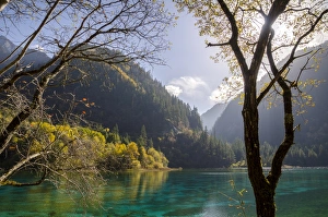 Far Eastern Prints: Five Flower Lake, Jiuzhaigou (Nine Village Valley)