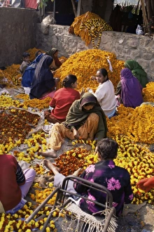 Garland Prints: Flower market