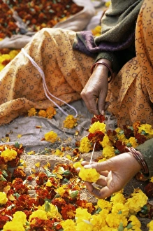 Flower market
