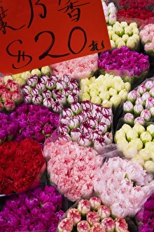 Images Dated 31st October 2007: Flower market, Kowloon, Hong Kong, China, Asia