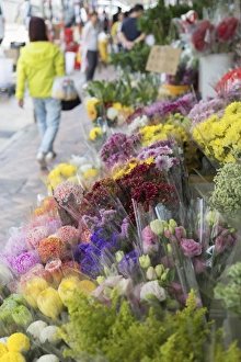 Kowloon Prints: Flower Market, Mongkok, Kowloon, Hong Kong, China, Asia