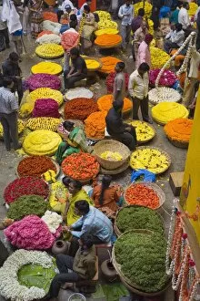 Images Dated 15th December 2007: Flower necklace sellers in City Market, Bengaluru (Bangalore), Karnataka state