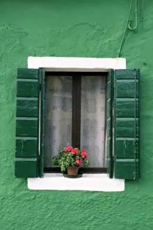 Veneto Prints: Flower pot on window sill