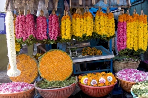 Kerala Prints: Flower shop, Chalai, Trivandrum, Kerala, India, Asia