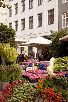 Copenhagen Prints: Flower shop on Ostergade, Copenhagen, Denmark, Scandinavia, Europe
