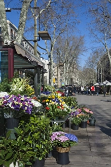 Flower stall on Las Ramblas, Barcelona, Catalunya, Spain, Europe