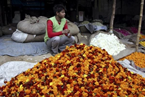 Piles Prints: Flower vendor, Delhi, India, Asia