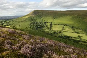 Heather Prints: Flowering heather on Mynydd Llangorse with a view towards Mynydd Troed in the Brecon Beacons