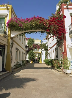 Little Venice Prints: Flowers on the arches, over Little Venices alleyways, Puerto de Morgan