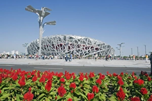 Images Dated 11th September 2008: Flowers and The Birds Nest National Stadium designed by Herzog and de Meuren in the Olympic Green
