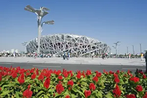 Stadium Prints: Flowers and The Birds Nest National Stadium designed by Herzog and de Meuren in the Olympic Green