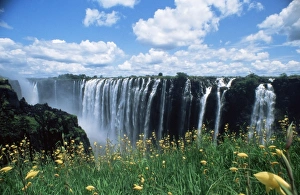 Zambian Prints: Flowers in bloom with the Victoria Falls behind, UNESCO World Heritage Site