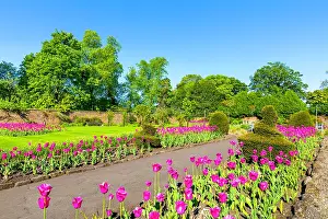Gardening Prints: Flowers bloom in Walled Garden at Bellahouston Park in Glasgow during spring season with clear skies