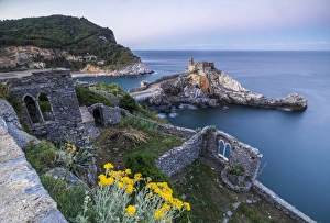 Outcrop Prints: Flowers and blue sea frame the old castle and church at dawn, Portovenere, UNESCO