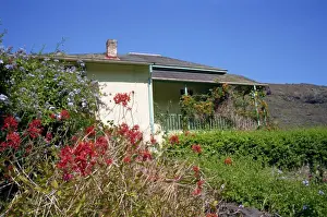 Flowers in front of Briars Pavilion, the house where Napoleon stayed from October to December 1815