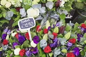 Images Dated 8th May 2010: Flowers on display in the Bloemenmarkt (flower market), Amsterdam, Netherlands, Europe