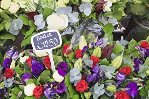 Bloemenmarkt Prints: Flowers on display in the Bloemenmarkt (flower market), Amsterdam, Netherlands, Europe