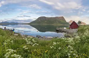 Rorbu Prints: Flowers and grass frame the typical rorbu and peaks reflected in sea at night, Vengeren