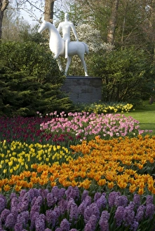 Images Dated 15th April 2009: Flowers at Keukenhof Gardens, near Leiden, Netherlands, Europe