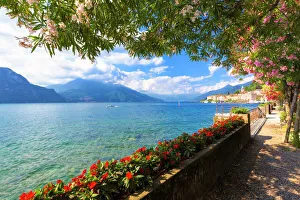 Typically Italian Prints: Flowers on the lake side of Bellagio, Province of Como, Lake Como, Italian Lakes