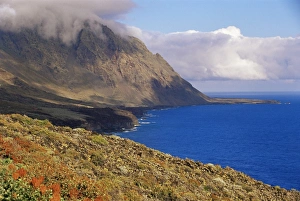 Flowers and mountains on the southern coast, El Hierro, Canary Islands
