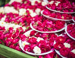 Flowers for offering at a Hindu temple, New Delhi, India, Asia