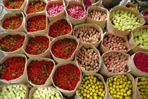 Botanical Collection: Flowers for sale