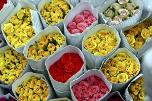 Images Dated 17th January 2008: Flowers for sale, Delhi, India, Asia
