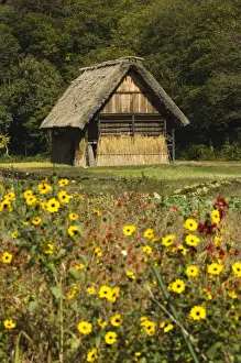Flowers in front of traditional gassho zukuri thatched roof houses