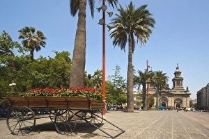 Images Dated 18th February 2005: Flowers, trees and the Metropolitan Cathedral dating from 1745, on the Plaza de Armas