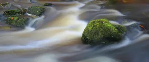Stones Prints: Flowing water over stones in a stream in Lakeland